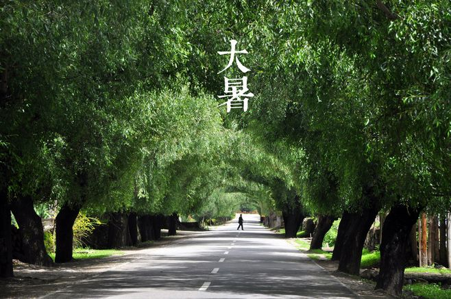 大暑丨葡園消煩暑，夢涼天地寬