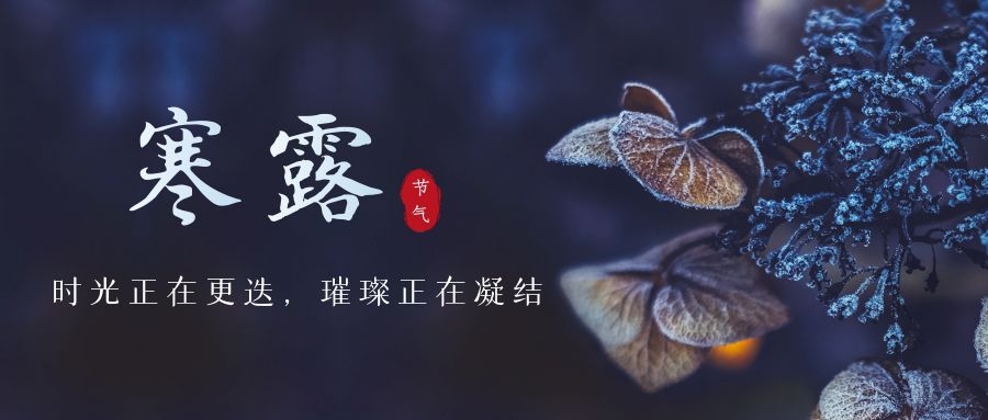 寒露 ▎時(shí)光更迭，璀璨正在凝結(jié)~