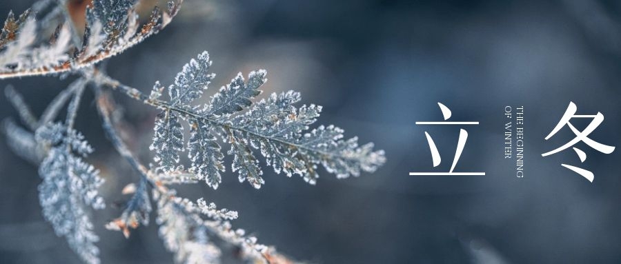 立冬 ▎朔風(fēng)始起，萬物境藏