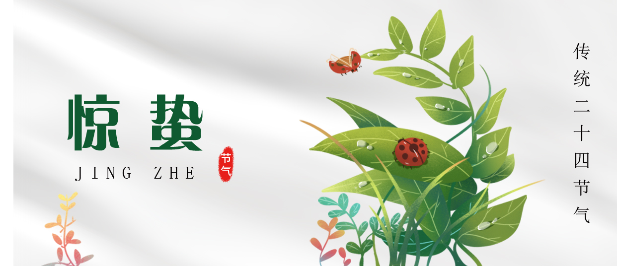驚蟄 ▎雷鳴春醒，萬物生長